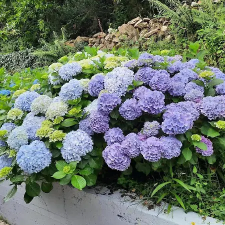 El Portalon De Luena