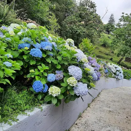 El Portalon De Luena Chalet