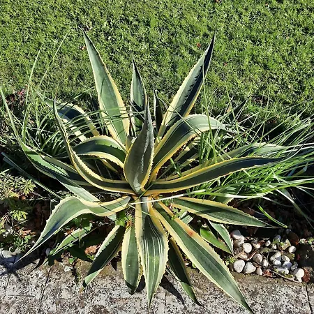 El Portalon De Luena Chalet