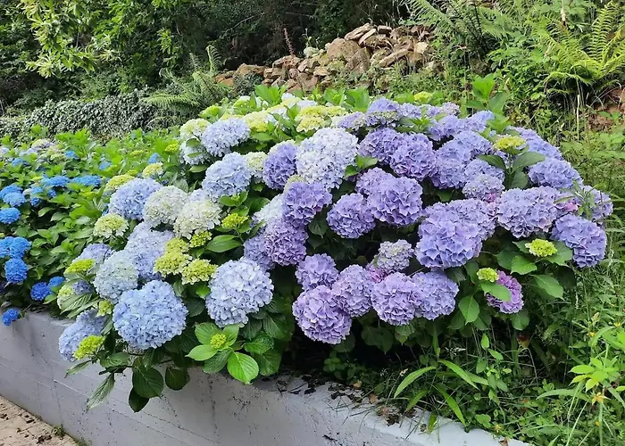 El Portalon De Luena