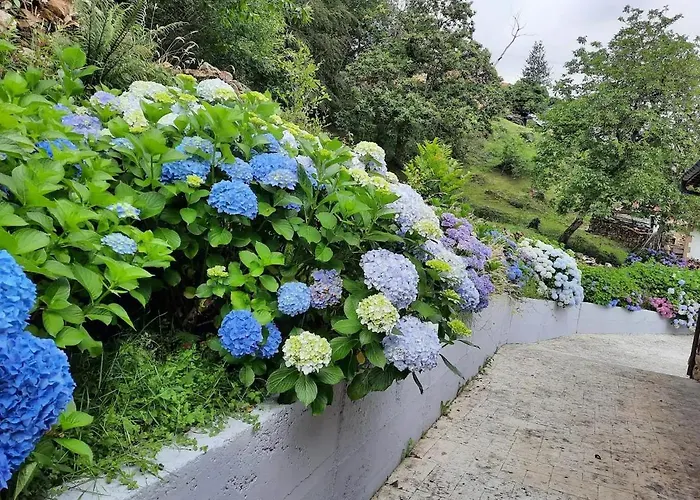 El Portalon De Luena Chalet