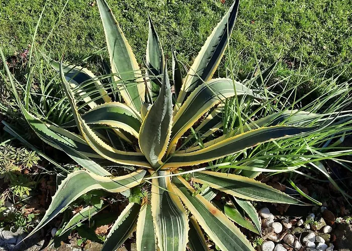 El Portalon De Luena Chalet